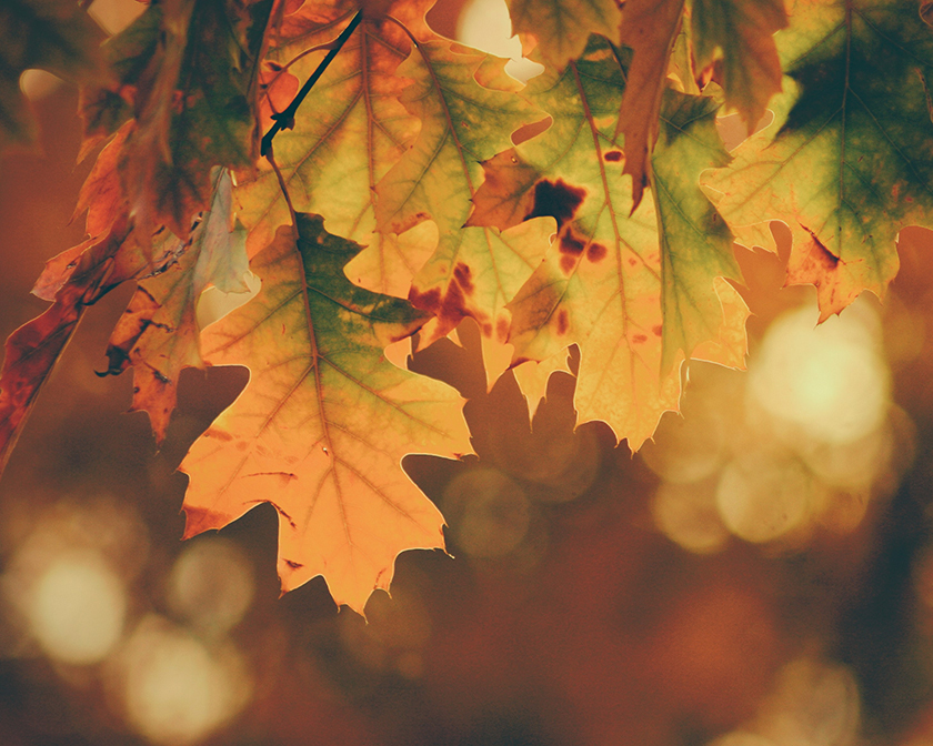 Reinventarse en la crisis